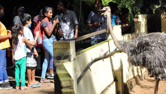 Children’s Day at Zoo