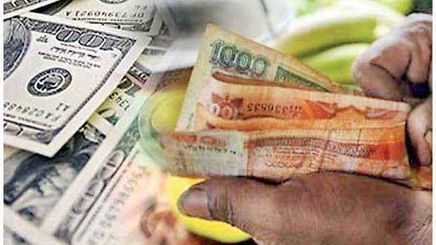 Migrant remittances rise to US$ 695.7 million in September