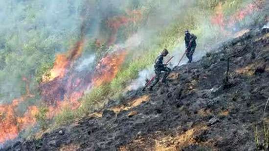 SLAF troops douse forest fire at Panangala