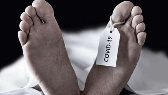 22 more COVID-19 deaths reported