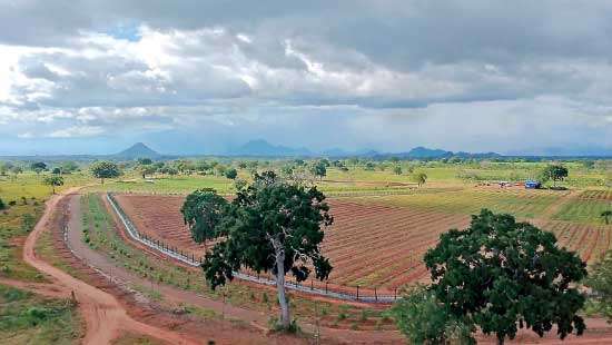 Authorities facilitate land grab in Wandama-Demaliya State Forest Reserve