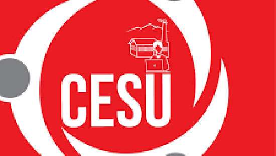 If we don’t get 70% salary increase, will resort to trade union action immediately: Estate Staffs’ Union