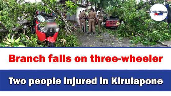 Branch falls on three-wheeler,Two people injured in Kirulapone