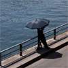 France records hottest-ever night as 40 drown trying to escape heatwave