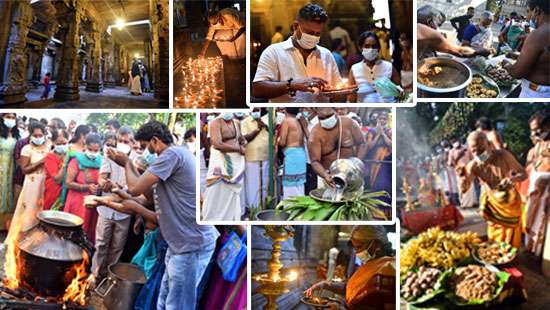 Thai Pongal Festival