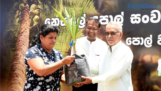 Nestlé Coconut Plan benefits 1,000 more rural families with 5,000 coconut plantlets, to help secure coconut supply and improve rural livelihoods