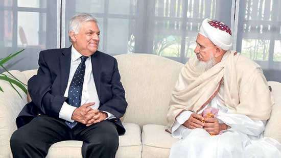 President meets Dawoodi Bohra Leader