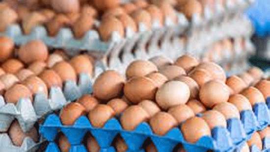 Court directs to announce new control price for eggs today