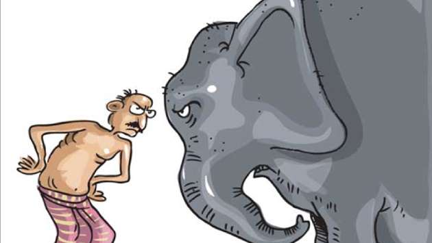 National Action Plan to curb human-elephant conflict: AG