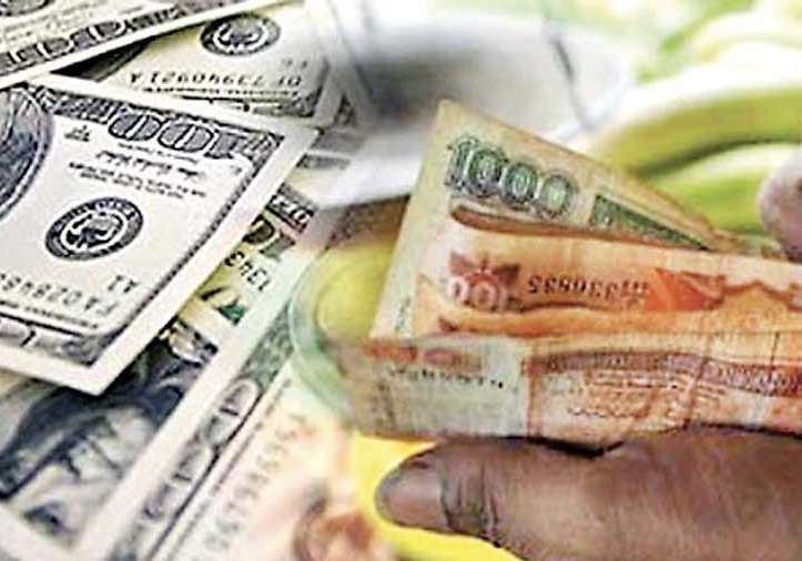 SL sees rise in workers’ remittances in November