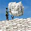 Ad hoc rice imports blamed for growing paddy marketing crisis