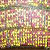 Over 1.1 million painkiller capsules headed for Sri Lanka seized in Ramanathapuram