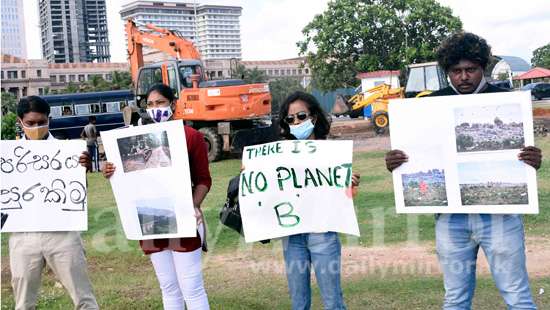 Stop illegal tree cutting...