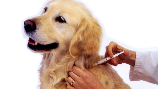 Anuradhapura set to become first district to eradicate rabies: Dr. Nanayakkara