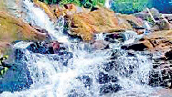 Exploring enchanting Anagimale Falls and Kanneliya Reserve