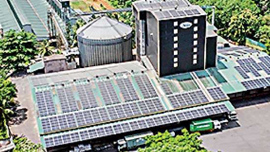Hayleys delivers 4,036 kW solar for Pussalla Meat Producers