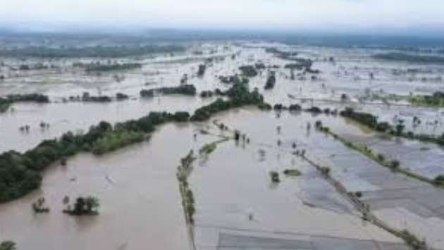 175,000 hectares of croplands destroyed, will there be a food security crisis?
