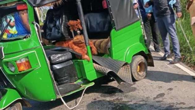 Norwood three-wheeler accident: Six preschool children injured