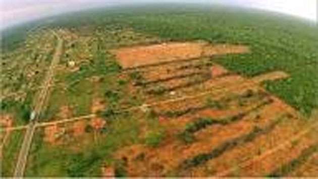 Around 700 acres of forest lands cleared by politicians