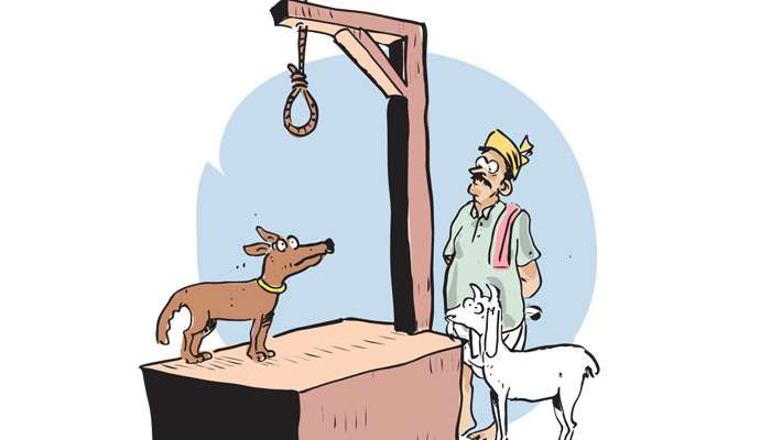 To resolve a conflict between two group: Mediation Board says hang a dog and send a photo
