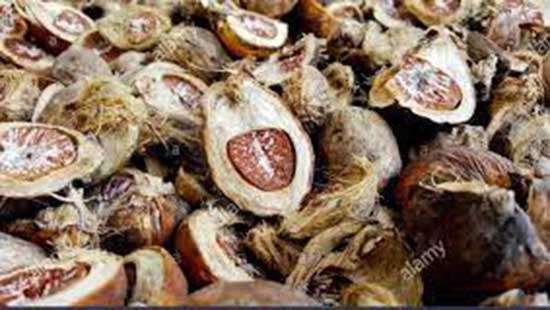 Two top agri officials arrested for issuing fake certificates to release dried arecanut containers