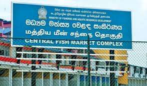 All 529 from Peliyagoda Fish Market test negative for COVID-19