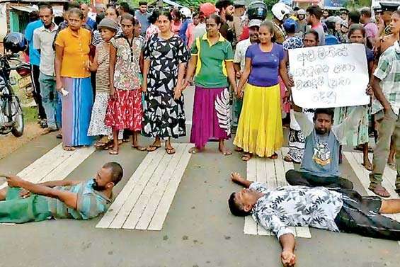 Protest in Oyamaduwa against release of captured elephants to Wilpattu