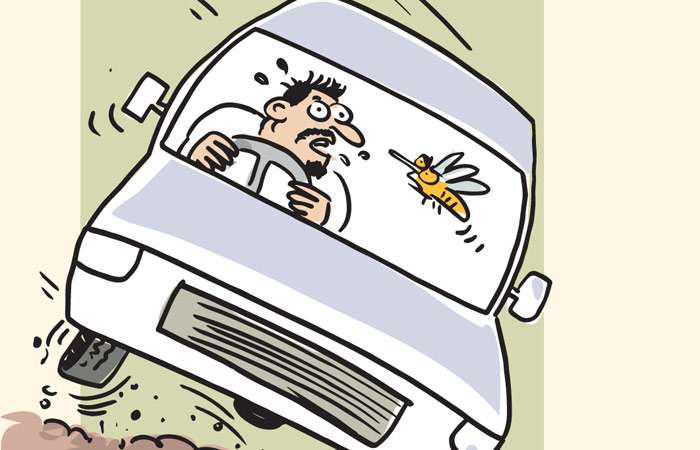 Wasp causes former MP Kumarasiri Ratnayake’s vehicle flip over