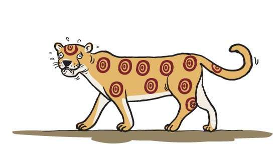 Time is ticking on Sri Lanka’s wildlife