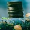Over 200 stakeholders trained to put Sri Lanka’s Green Finance Taxonomy into practice
