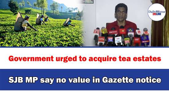 Government urged to acquire tea estates, SJB MP say no value in Gazette notice