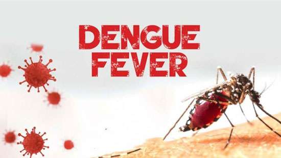 Dengue cases in Gampaha district cross 10,000; tally at 45,000