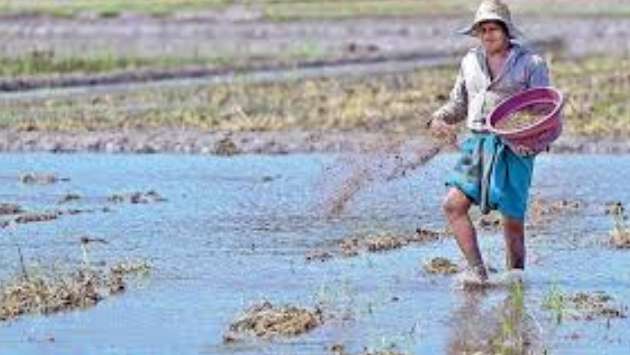 Adequate water available for Maha Season cultivation