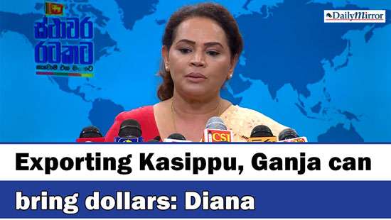 Exporting Kasippu, Ganja can bring dollars: Diana