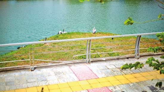 Linear Park along Baladaksha Mawatha: Vandalism more than just an eyesore