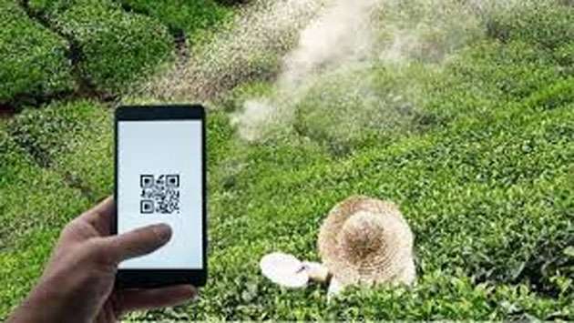 QR-based tea fertilizer system surpasses 2024/25 in 6 months