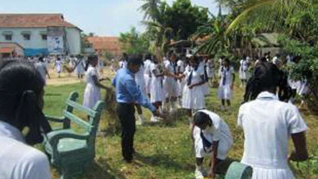 Schools turn into mosquito havens, students’ lives at stake
