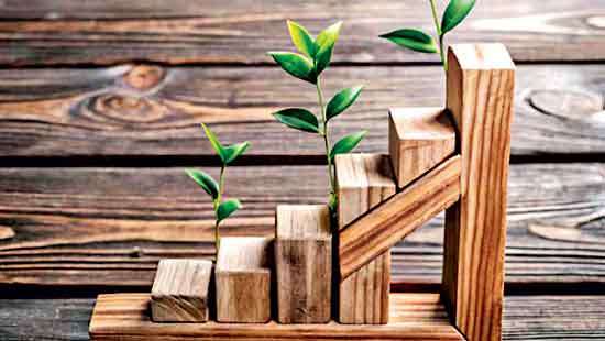 Wood Energy and Career Growth