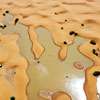 Sahara desert flooded for the first time in decades