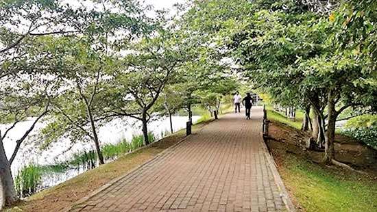 A case study on the jogging track in Gampaha: Correct vision important for managing Environmentally Sensitive Areas