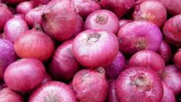Government to introduce stable price for big onions