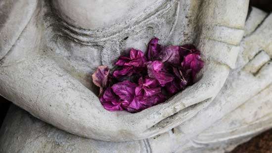 The Power of Presence: Zen Teachings on Living in the Moment