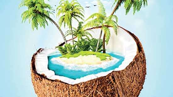 Recognising Northern coconut triangle as a key step in Sri Lanka’s socio-economic growth trajectory