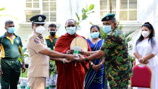 STF to plant 3 million jackfruit saplings