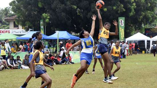 Milo All Island Schools Netball Championship