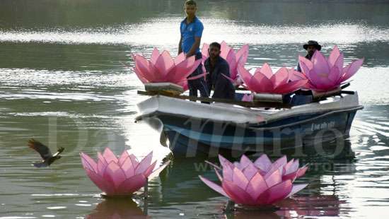 Vesak preparations at Gangaramaya