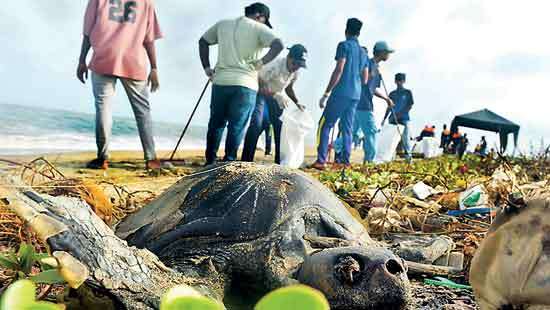 ‘A Cleaner Coastline for the Nation’