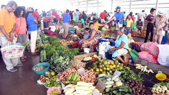 Busy buying veggies....