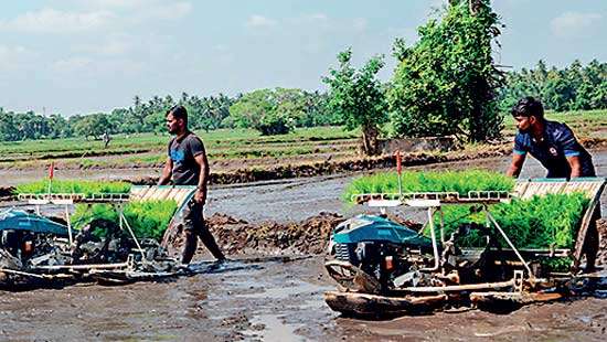 ComBank launches Agri Modernisation Village programme in Kilinochchi