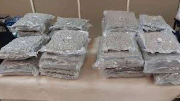 Customs bust Rs.24 Mn worth ‘Kush’ smuggling attempt at BIA